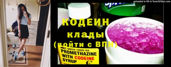 дживик Арсеньев