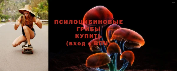 соль ск Армянск