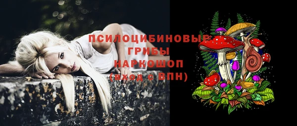 тгк Аркадак
