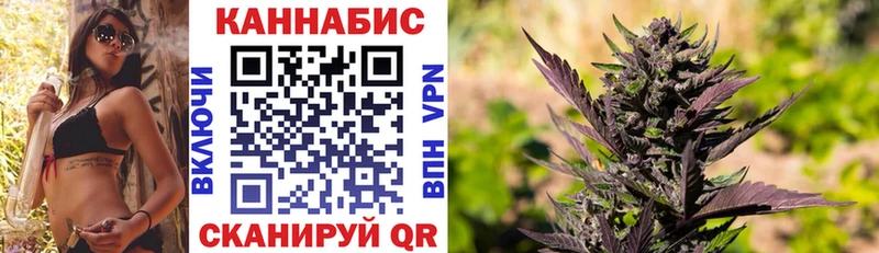 KRAKEN ТОР  Камбарка  Бошки Шишки Bruce Banner  цены  